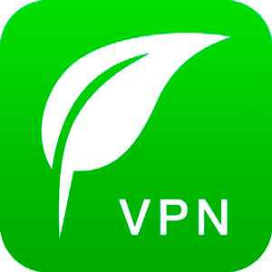 Express VPN 